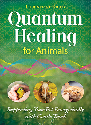 Buch Quantum Healing for Animals, engl.